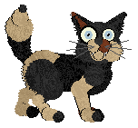 Everyone Calls Me Jim