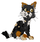 Sandz Newport Dancer